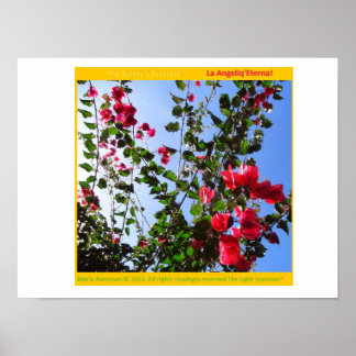 Rosariankrantz från Aurorarian Lamp! * Poster