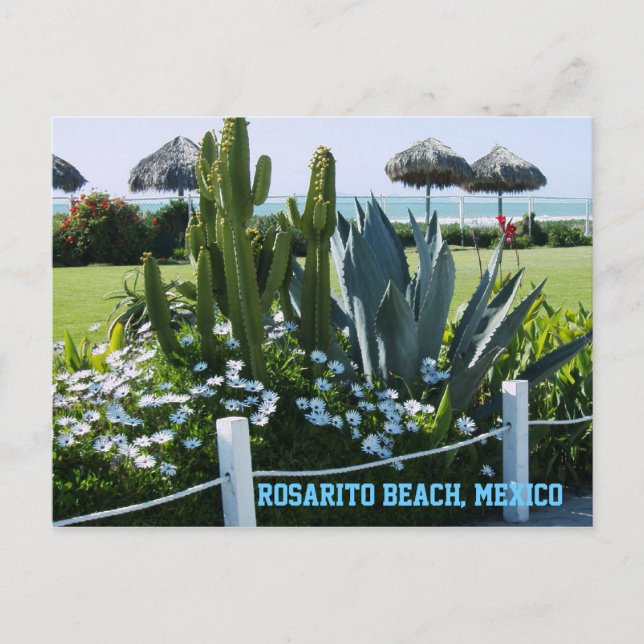 Rosarito Beach, Mexiko (Cacti) Vykort (Framsida)