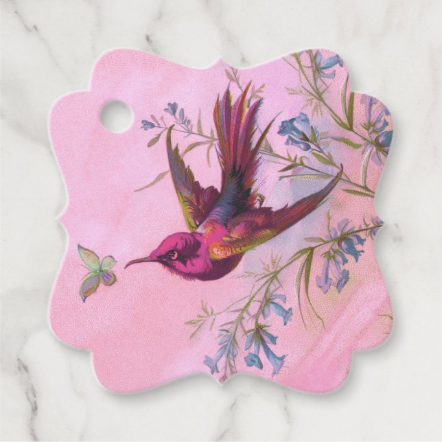 Rosaröd kolibri gåvor etiketter (Framsida)