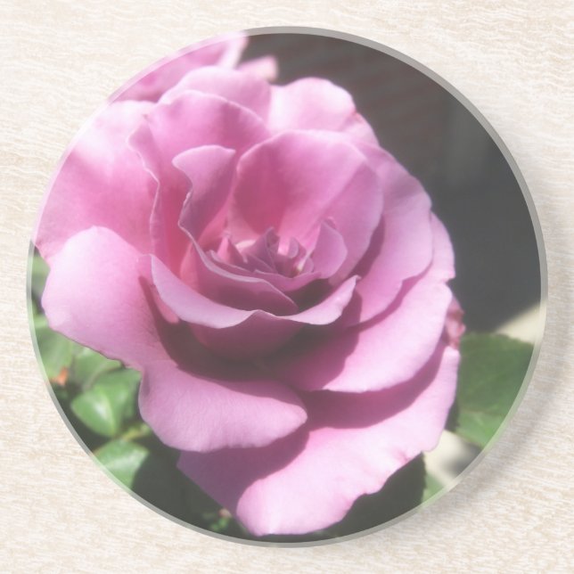 Rosas Moradas 1 Underlägg (Framsidan)