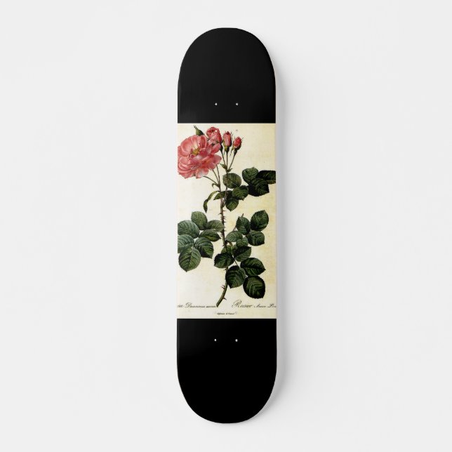 Rosblomma, Pierre Joseph Redouté Mini Skateboard Bräda 18,7 Cm (Framsida)