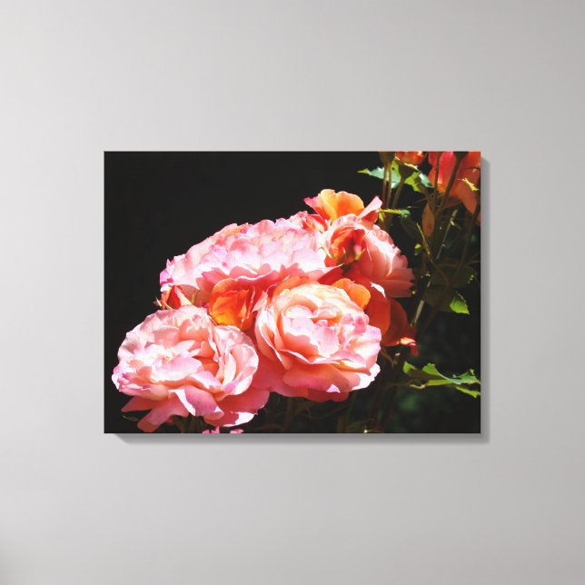 Rosblommor Canvastryck Rosa Rosor (Framsida)