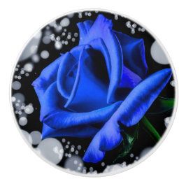Rosblommor Kontor Hem Skrivbord Öde Öde Knopp