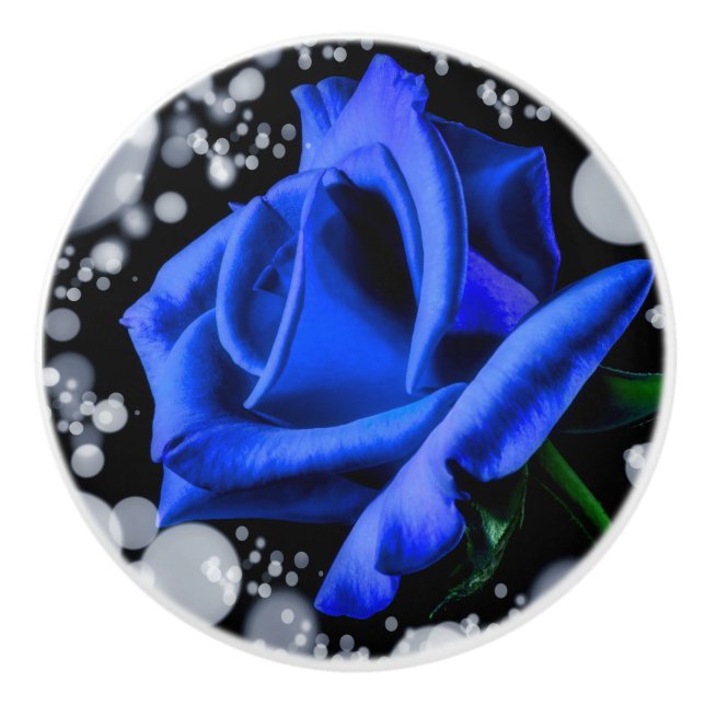 Rosblommor Kontor Hem Skrivbord Öde Öde Knopp (Framsidan)