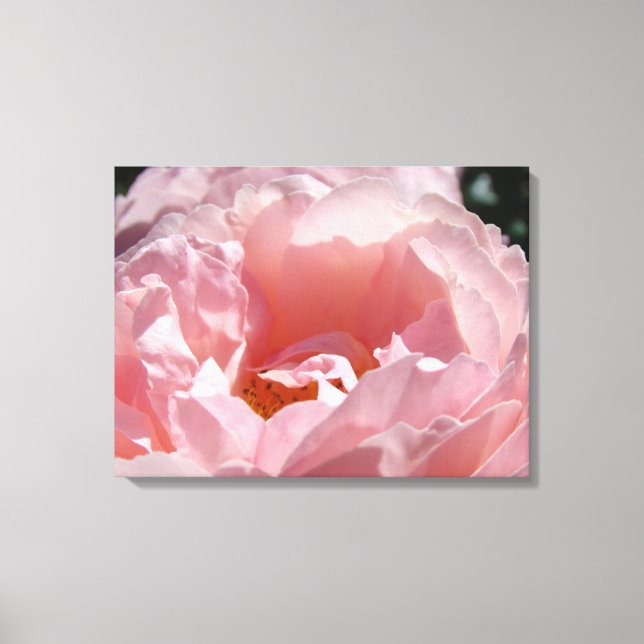 Rosblomster trädgård canvas Fotoutskrifter (Framsida)