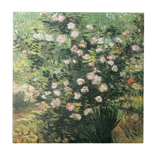 Rosbuske i blomning av Vincent van Gogh Kakelplatta