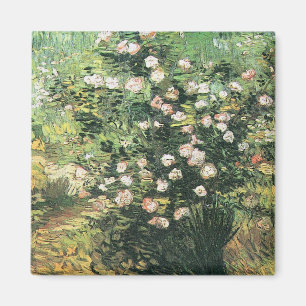 Rosbuske i blomning av Vincent van Gogh Magnet