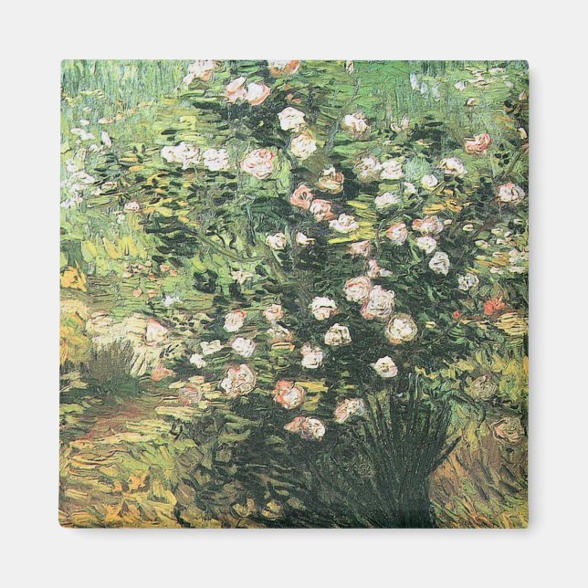 Rosbuske i blomning av Vincent van Gogh Magnet (Framsidan)