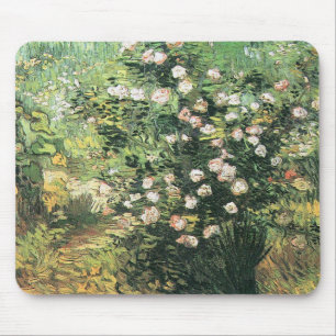 Rosbuske i blomning av Vincent van Gogh Musmatta