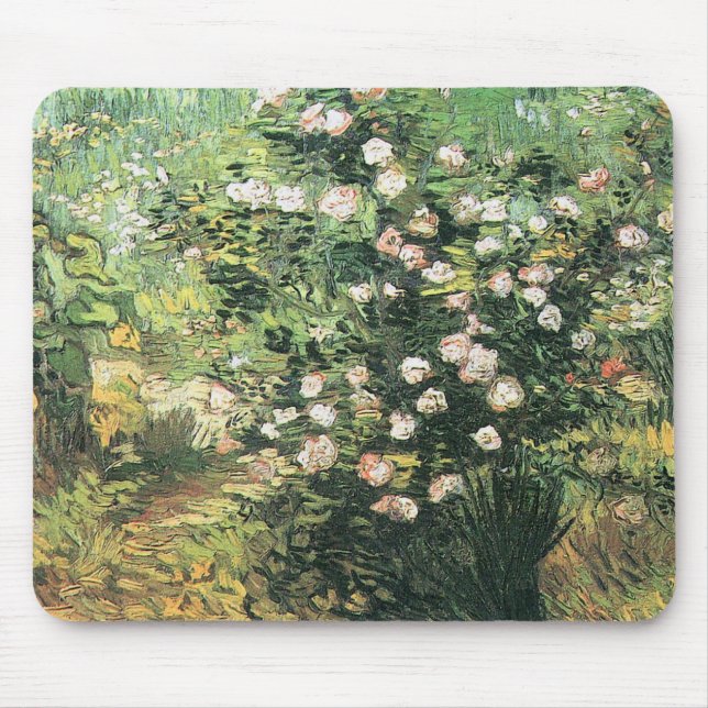 Rosbuske i blomning av Vincent van Gogh Musmatta (Framsidan)
