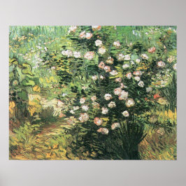 Rosbuske i blomning av Vincent van Gogh Poster