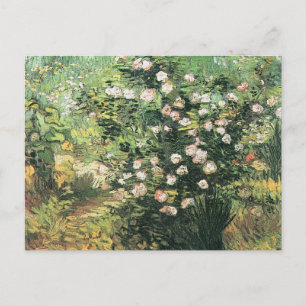 Rosbuske i blomning av Vincent van Gogh Vykort