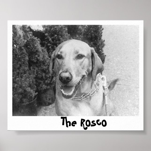 Rosco Poster (Framsidan)