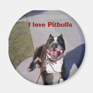 Roscoes klassificerar, mig älskar Pitbulls Magnet