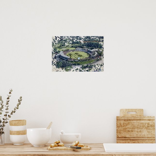 Rose Bowl Southampton Cricket Ground Artistic Poster (Kök)