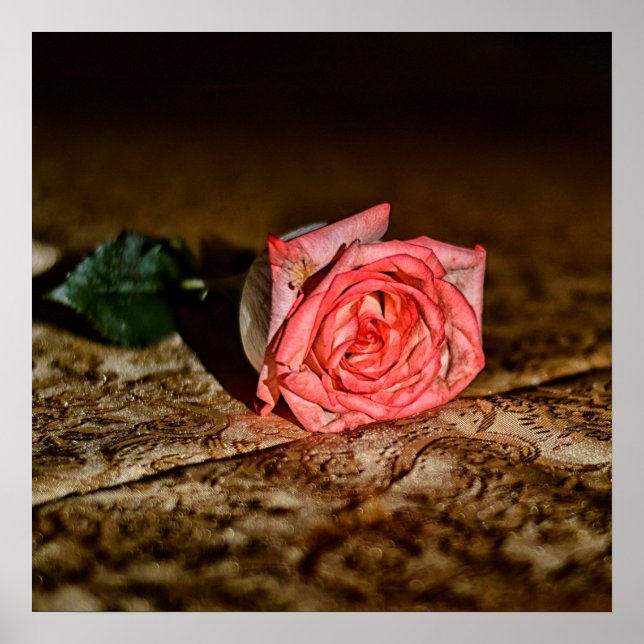 Rose Close-Up poster (Framsidan)