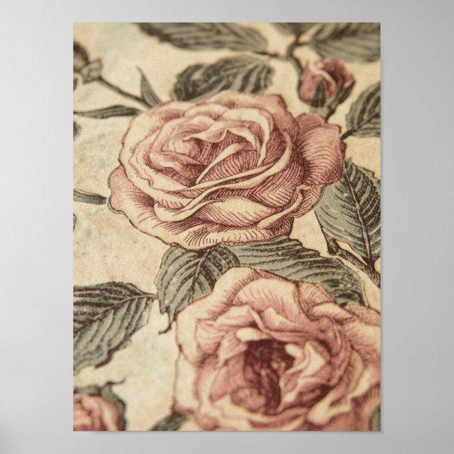 Rose Garden Sketch Poster (Framsidan)