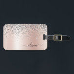 Rose Gold - Rosa Glitter Silver Monogram Bagagebricka<br><div class="desc">Rose Guld - Rosa och Silver Falsk Folie Metallisk Glitter Borstat Metall Monogram Namn och Initial Väska eller Resväskemärke. Detta gör den perfekta söt 16 födelsedag,  bröllop,  bröllopsfest,  årsdag,  baby shower eller möhippa present till någon som älskar glamour lyx och chic stilar.</div>