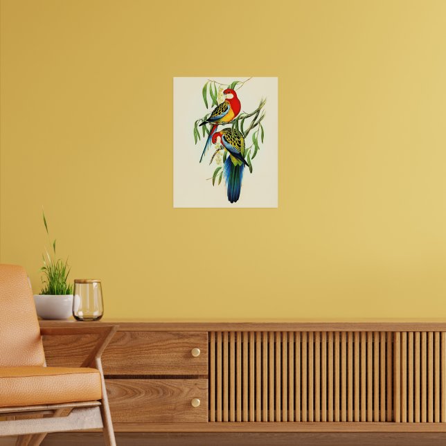 Rose-Hill Parakeet av Elizabeth Gould, Poster (Vardagsrum 2)