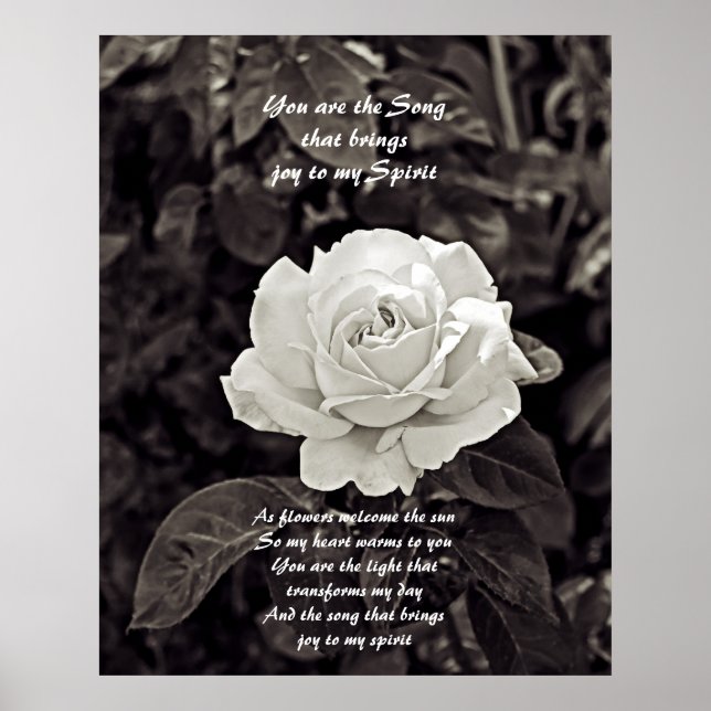 Rose in Black and White Poster (Framsidan)