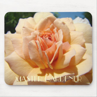 ROSE Master Gardener Musmatta Present Julros