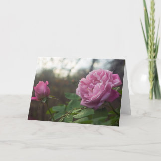 Rose Photo Standard, 5" x 7" Folded Greeting Card Kort