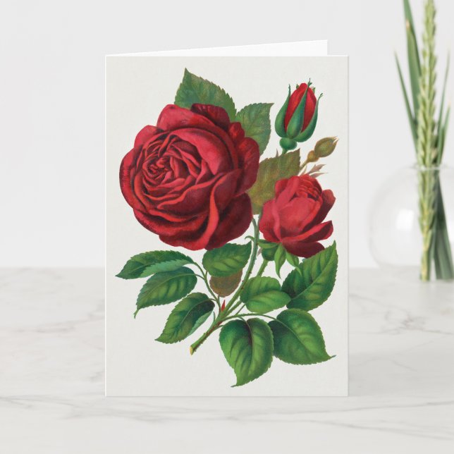 Rose Print Rochester Lithografiska och Tryckeriför Kort (Framsida)