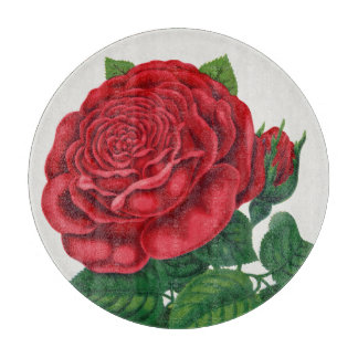 Rose Print Rochester Lithographing and Printing Co