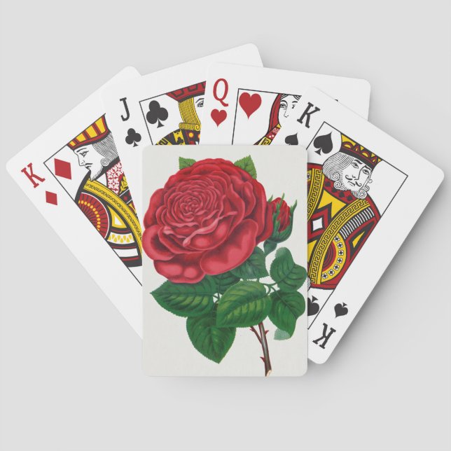 Rose Print Rochester Lithographing and Printing Co Casinokort (Baksidan)
