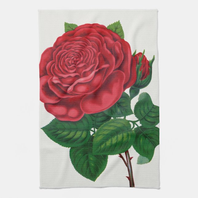 Rose Print Rochester Lithographing and Printing Co Kökshandduk (Vertikal)