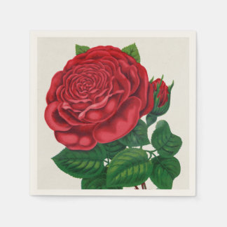 Rose Print Rochester Lithographing and Printing Co Pappersservett