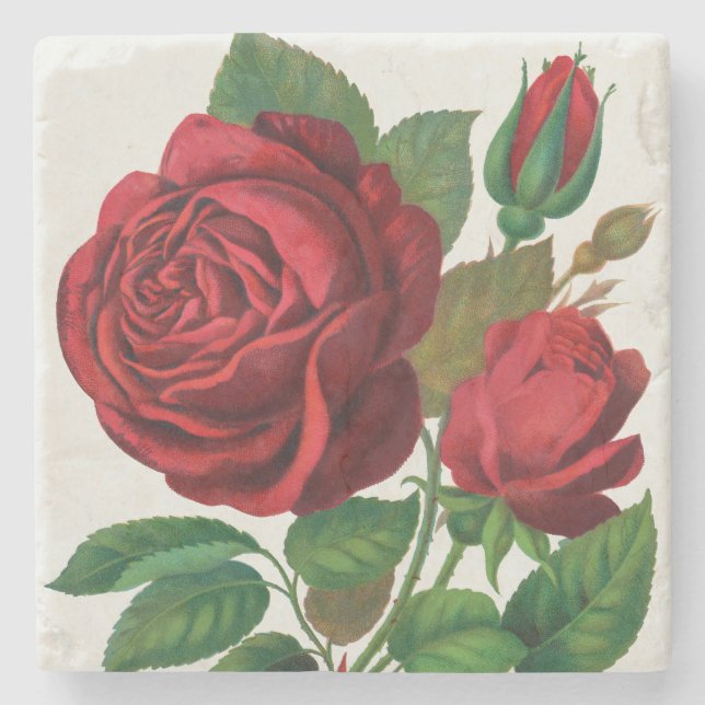 Rose Print Rochester Lithographing and Printing Co Stenunderlägg (Framsidan)