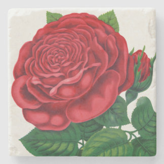 Rose Print Rochester Lithographing and Printing Co Stenunderlägg