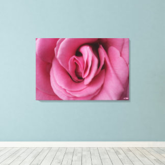 Rose Queen Romance II Stretched Canvas Print