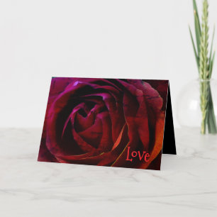 *'Rose Red' - Kärlek gör kort