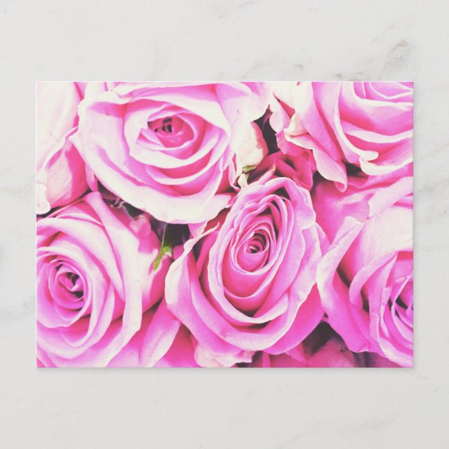 rose roses pink bunch flowers card Postcard Vykort (Framsida)