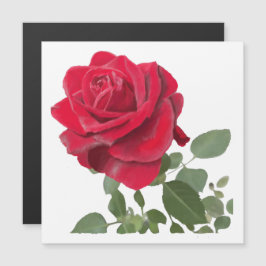Rose rouge peinture