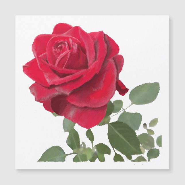  Rose rouge peinture (Framsida)