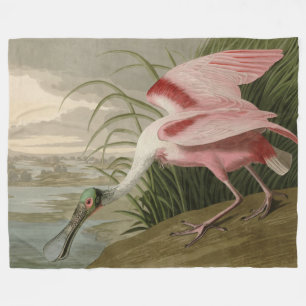 Roseat Spoonbill från Audubon's Birds of America Fleecefilt