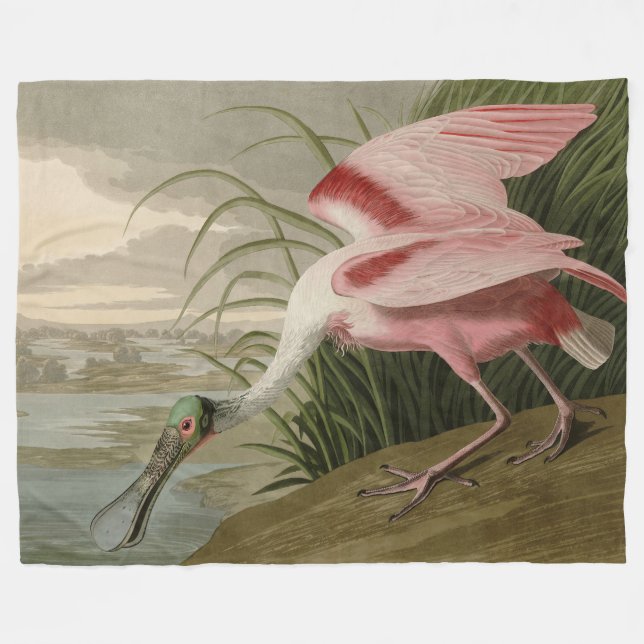 Roseat Spoonbill från Audubon's Birds of America Fleecefilt (Framsidan (Horisontell))