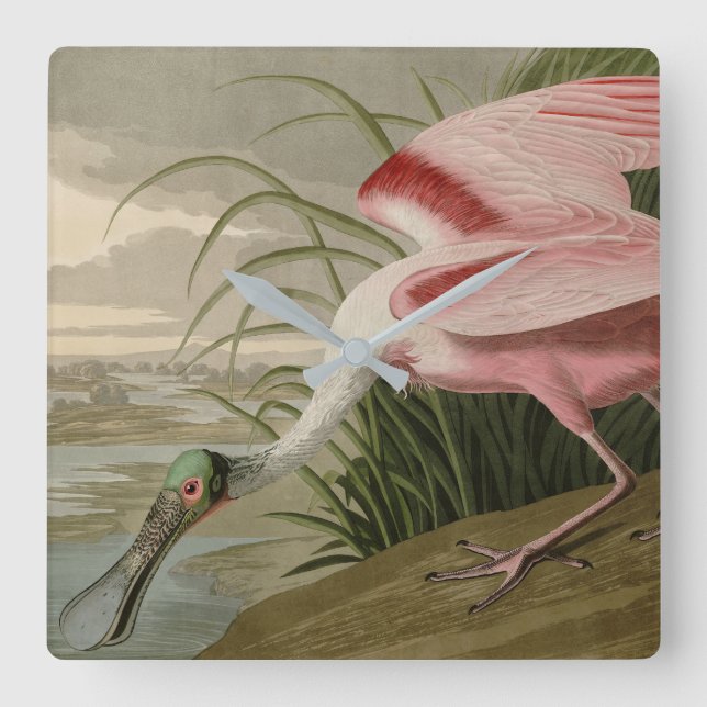 Roseat Spoonbill från Audubon's Birds of America Fyrkantig Klocka (Framsida)