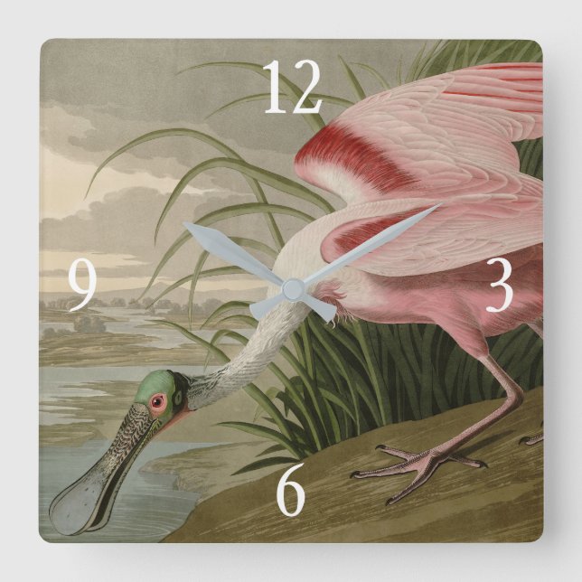 Roseat Spoonbill från Audubon's Birds of America Fyrkantig Klocka (Framsida)