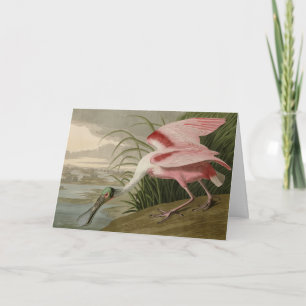 Roseat Spoonbill från Audubon's Birds of America Kort