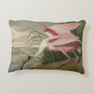 Roseat Spoonbill från Audubon's Birds of America Prydnadskudde