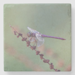 Roseate skimmer Dronfly Underlägg Sten