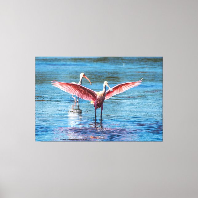 ROSEATE SPOONBILL 60 X 40 WRAPPED CANVAS UTSKRIFTS (Framsida)