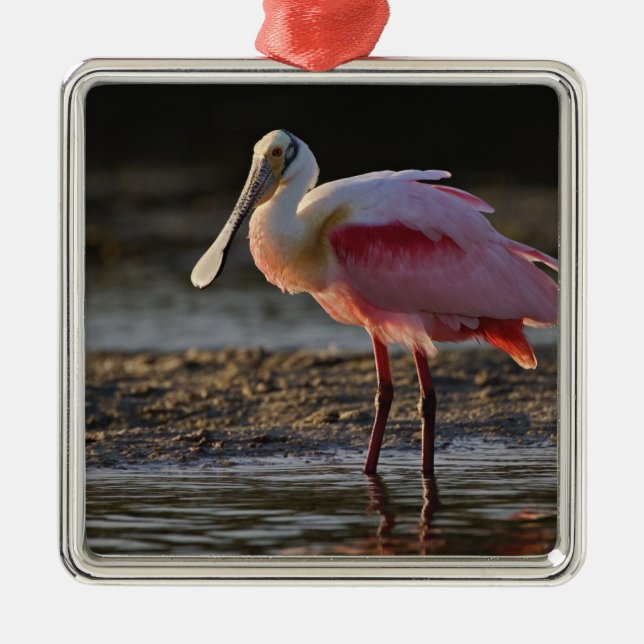 Roseate Spoonbill, Ajaia ajaja, Ding Darling Julgransprydnad Metall (Framsidan)