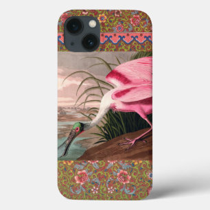 Roseate Spoonbill Audubon Bird Wildlife