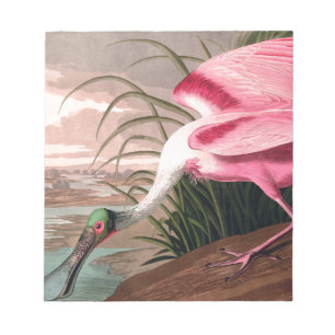 Roseate Spoonbill Audubon Bird Wildlife Anteckningsblock