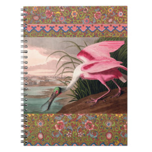 Roseate Spoonbill Audubon Bird Wildlife Anteckningsbok Med Spiral